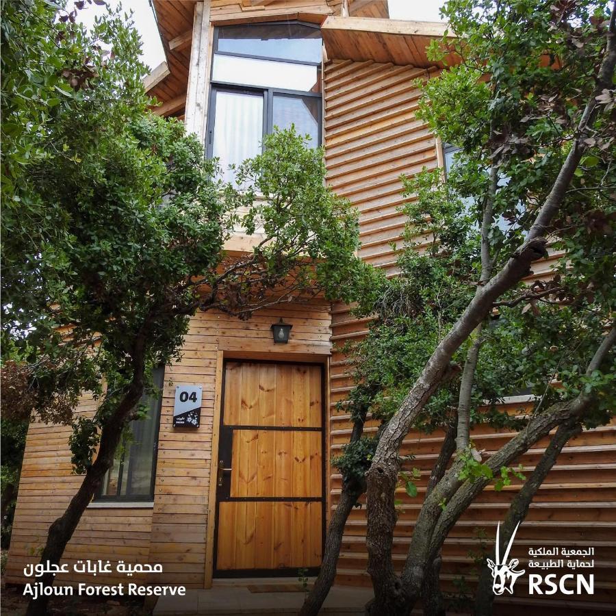 Ajloun Forest Reserve Exterior photo