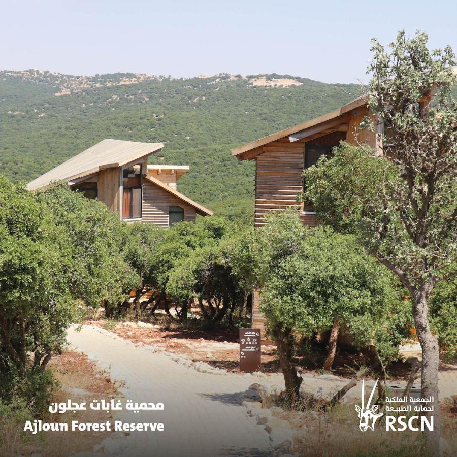 Ajloun Forest Reserve Exterior photo