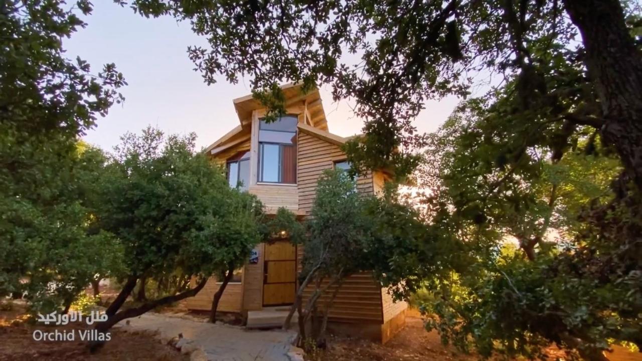 Ajloun Forest Reserve Exterior photo