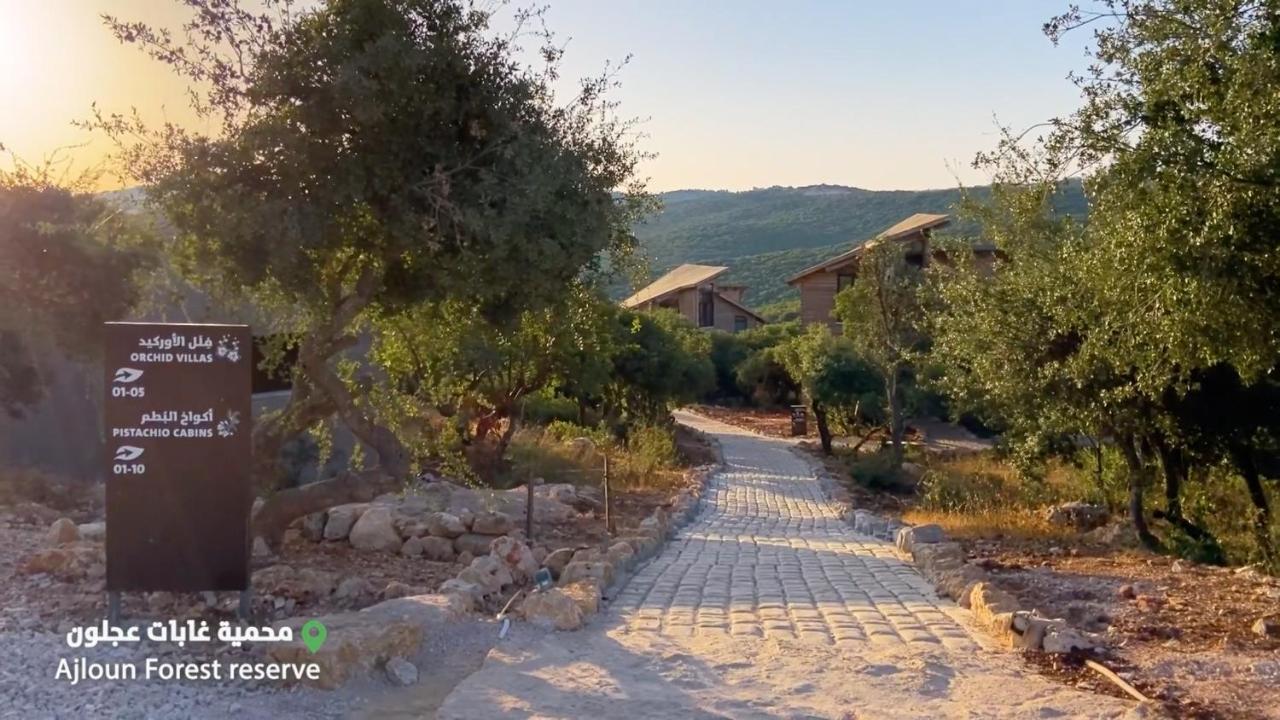 Ajloun Forest Reserve Exterior photo