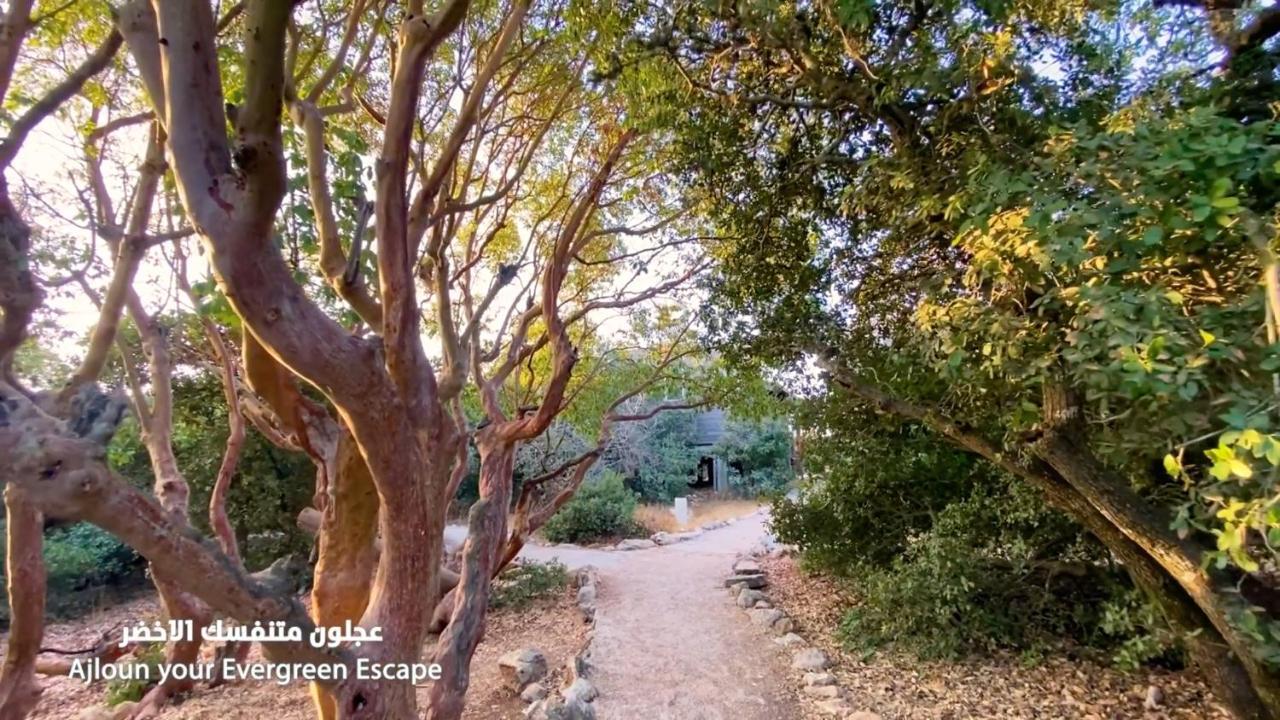 Ajloun Forest Reserve Exterior photo