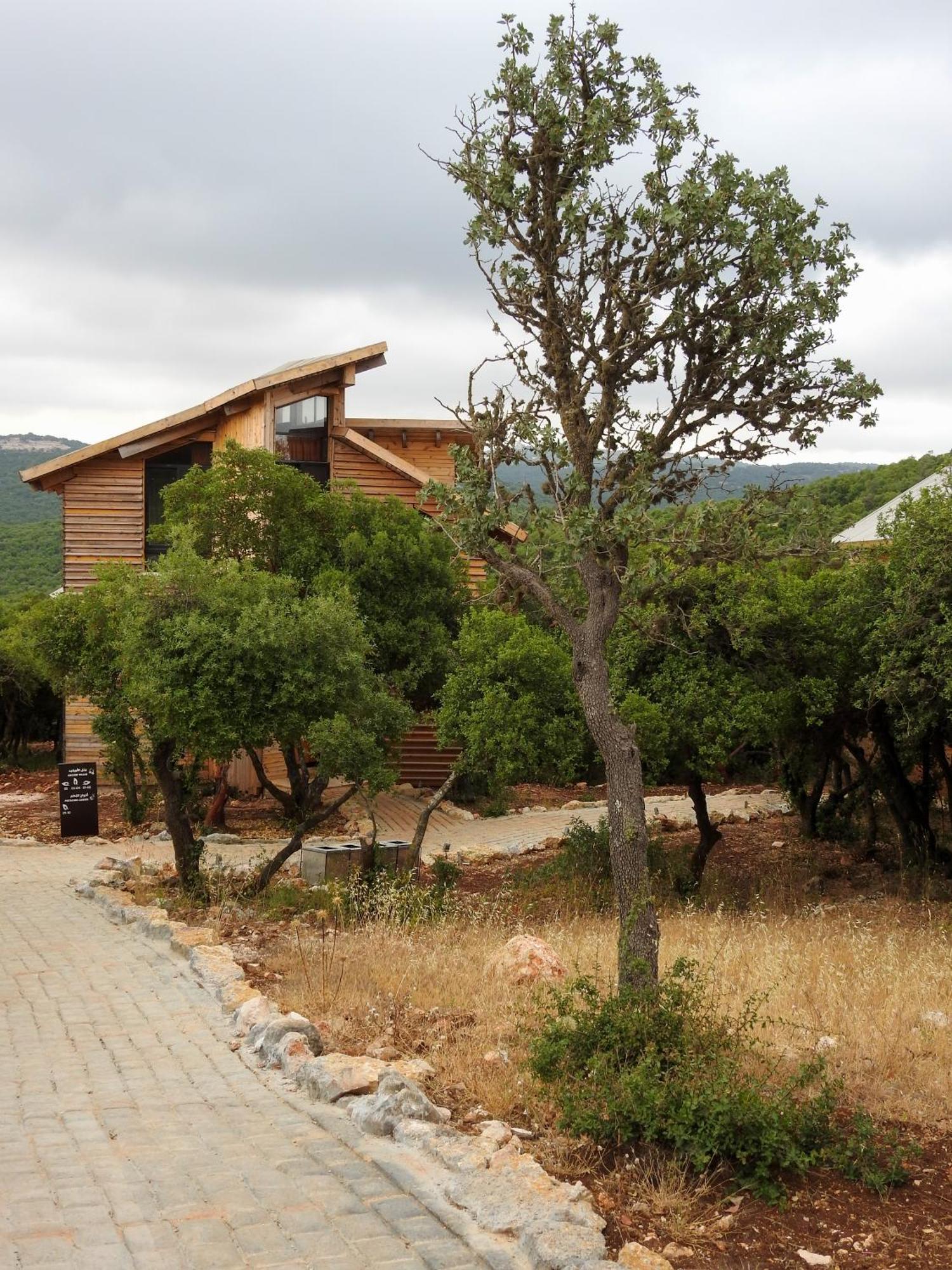 Ajloun Forest Reserve Exterior photo