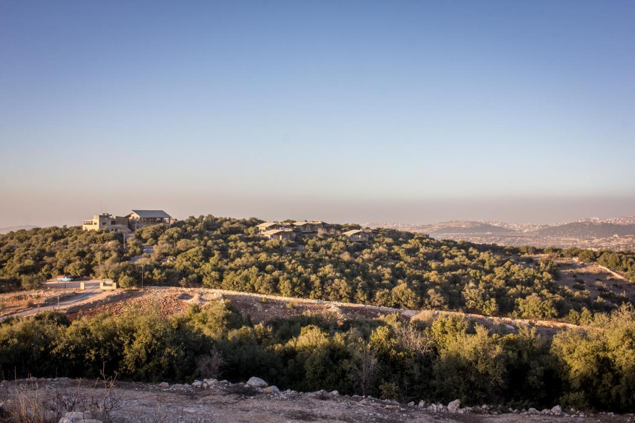 Ajloun Forest Reserve Exterior photo